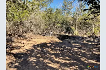 50 Acres County Road 212, Hallettsville, TX 77964 - Photo 14