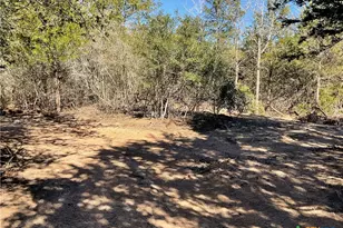 50 Acres County Road 212, Hallettsville, TX 77964 - Photo 14