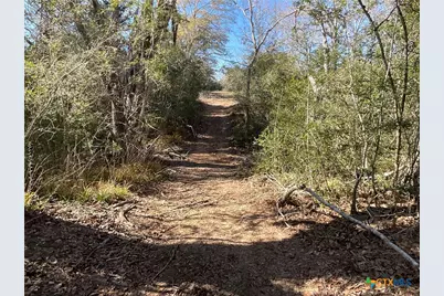 50 Acres County Road 212, Hallettsville, TX 77964 - Photo 28