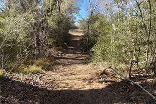 50 Acres County Road 212, Hallettsville, TX 77964 - Photo 28