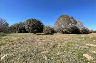 50 Acres County Road 212, Hallettsville, TX 77964 - Photo 22