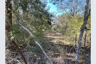 50 Acres County Road 212, Hallettsville, TX 77964 - Photo 2