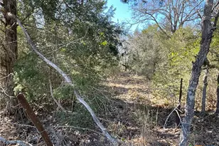 50 Acres County Road 212, Hallettsville, TX 77964 - Photo 2