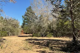 50 Acres County Road 212, Hallettsville, TX 77964 - Photo 16