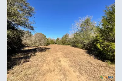 50 Acres County Road 212, Hallettsville, TX 77964 - Photo 34