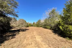 50 Acres County Road 212, Hallettsville, TX 77964 - Photo 34