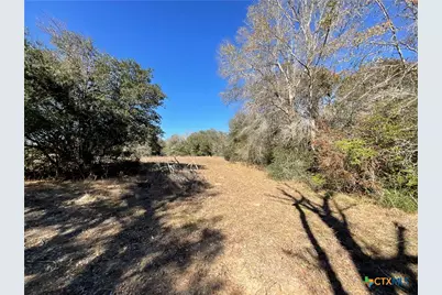 50 Acres County Road 212, Hallettsville, TX 77964 - Photo 26