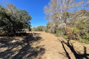 50 Acres County Road 212, Hallettsville, TX 77964 - Photo 26