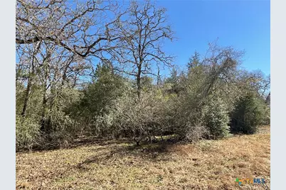 50 Acres County Road 212, Hallettsville, TX 77964 - Photo 42