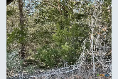 50 Acres County Road 212, Hallettsville, TX 77964 - Photo 6