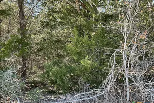 50 Acres County Road 212, Hallettsville, TX 77964 - Photo 6