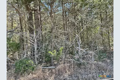 50 Acres County Road 212, Hallettsville, TX 77964 - Photo 10