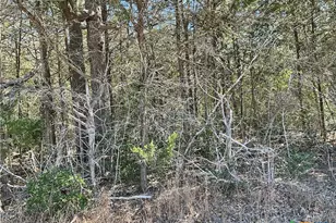 50 Acres County Road 212, Hallettsville, TX 77964 - Photo 10