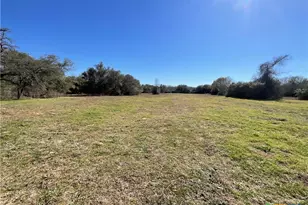 50 Acres County Road 212, Hallettsville, TX 77964 - Photo 18