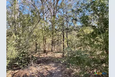 50 Acres County Road 212, Hallettsville, TX 77964 - Photo 44