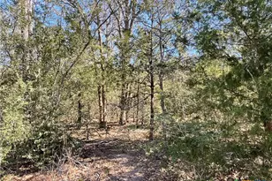 50 Acres County Road 212, Hallettsville, TX 77964 - Photo 44