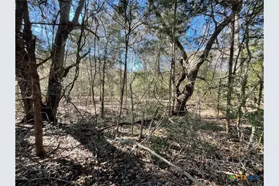 50 Acres County Road 212, Hallettsville, TX 77964 - Photo 4