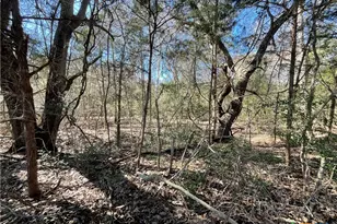 50 Acres County Road 212, Hallettsville, TX 77964 - Photo 4