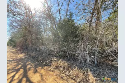 50 Acres County Road 212, Hallettsville, TX 77964 - Photo 8