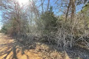 50 Acres County Road 212, Hallettsville, TX 77964 - Photo 8