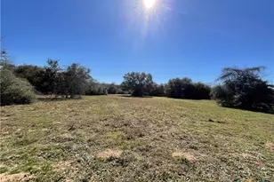 50 Acres County Road 212, Hallettsville, TX 77964 - Photo 24