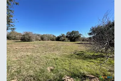 50 Acres County Road 212, Hallettsville, TX 77964 - Photo 20