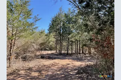 50 Acres County Road 212, Hallettsville, TX 77964 - Photo 38