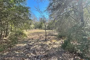 50 Acres County Road 212, Hallettsville, TX 77964 - Photo 30