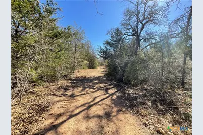 50 Acres County Road 212, Hallettsville, TX 77964 - Photo 46