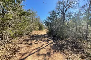 50 Acres County Road 212, Hallettsville, TX 77964 - Photo 46