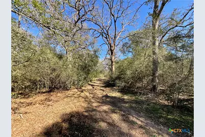50 Acres County Road 212, Hallettsville, TX 77964 - Photo 36