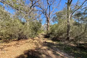 50 Acres County Road 212, Hallettsville, TX 77964 - Photo 36