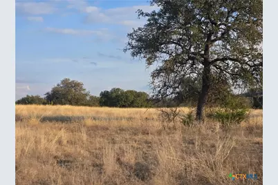 205 Grand Canyon Drive, Oglesby, TX 76561 - Photo 10