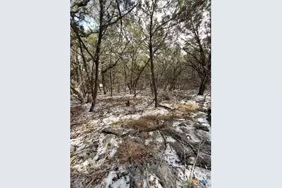 311 Serenity Pass, Spring Branch, TX 78070 - Photo 2