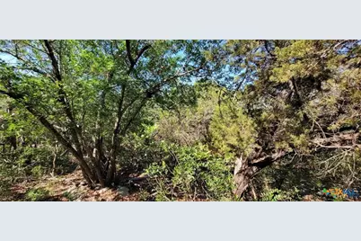 15921 Salado Drive, Temple, TX 76502 - Photo 8
