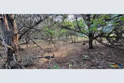 16082 Charlya Drive, Temple, TX 76502 - Photo 12