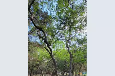 16082 Charlya Drive, Temple, TX 76502 - Photo 14