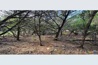 16082 Charlya Drive, Temple, TX 76502 - Photo 16