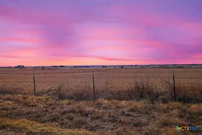 Tbd-20 Acres Tbd Cr 255, Gatesville, TX 76528 - Photo 4