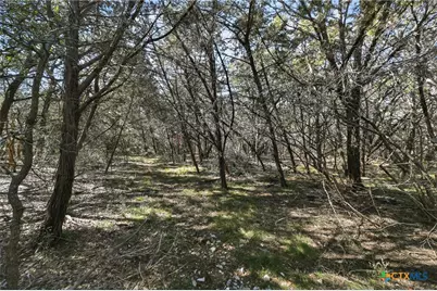 00 Royal Street, Salado, TX 76571 - Photo 14