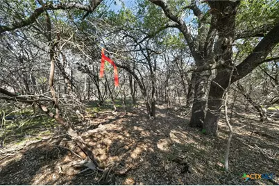 00 Royal Street, Salado, TX 76571 - Photo 16