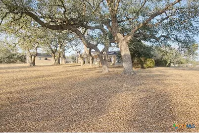 2950 W Fm 884, Yorktown, TX 78164 - Photo 2