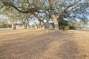 2950 W Fm 884, Yorktown, TX 78164 - Photo 2