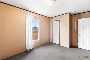 3814 New Mathis Rd, Elmendorf, TX 78112 - Photo 24