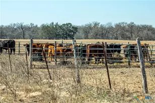 1387 County Rd 304, Floresville, TX 78114 - Photo 22