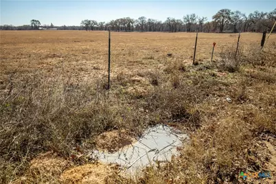 1387 County Road 304, Floresville, TX 78114 - Photo 12