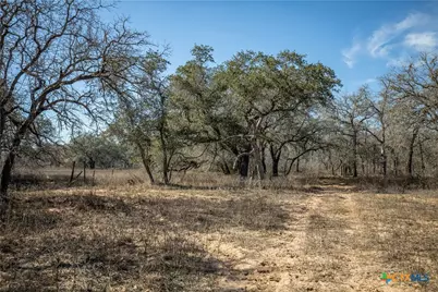 1387 County Road 304, Floresville, TX 78114 - Photo 40