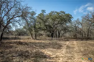 1387 County Rd 304, Floresville, TX 78114 - Photo 40