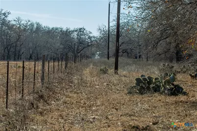 1387 County Road 304, Floresville, TX 78114 - Photo 48
