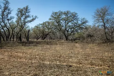 1387 County Road 304, Floresville, TX 78114 - Photo 38